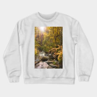 Peaceful Stream Through Autumn Forest in Sunshine Crewneck Sweatshirt